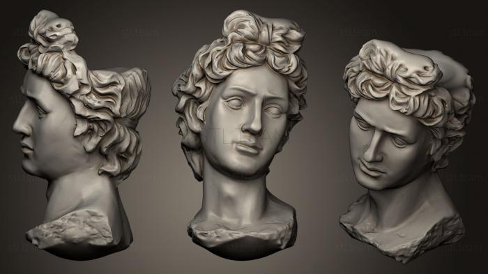 3D модель Скульптура головы (STL)